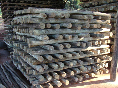 D_NQ_NP_14636-MLB202320540_9709-O