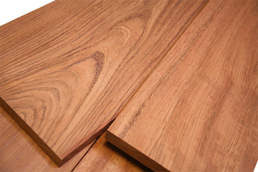 Jatoba_3